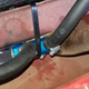 Image for article titled I Broke My 1966 Ford Mustang A Week Before It Is Supposed To Star In An Indian Wedding